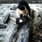 More Tips for Staying Healthy On the Road