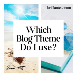Which WordPress theme do you use?