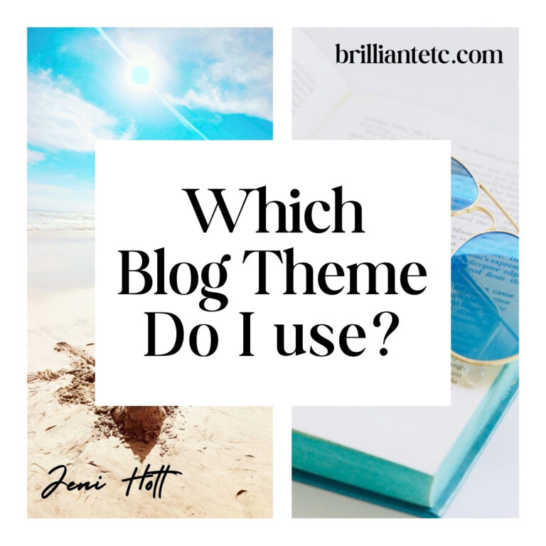 Which WordPress theme do you use?